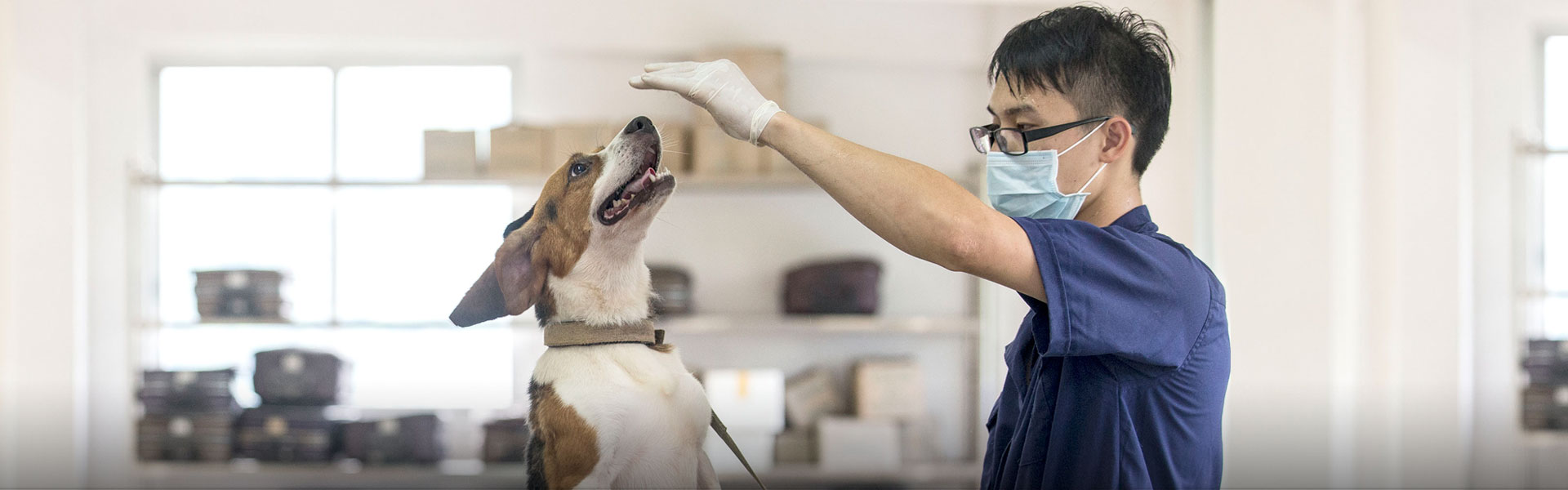 Laboratory Animal Research and Development Center